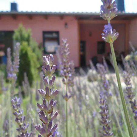 Feriehus Krueger Templin