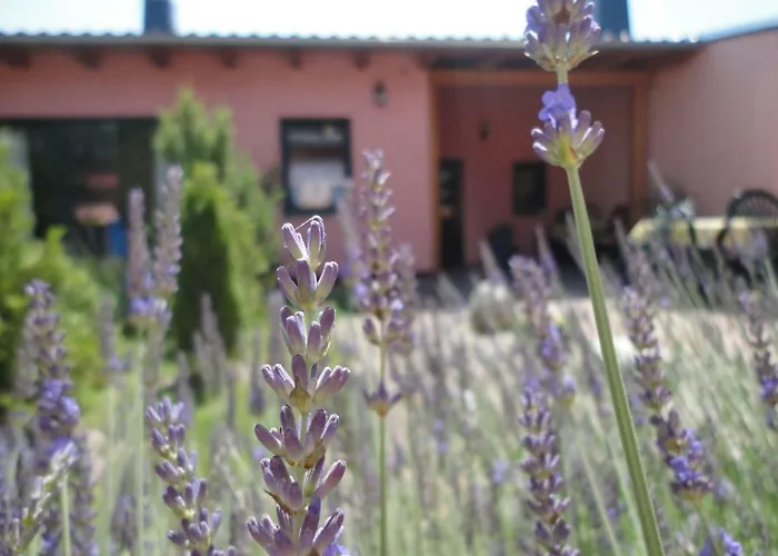 Feriehus Krueger Templin